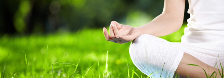 Kingston Chiropractor Talks about Wellness Care