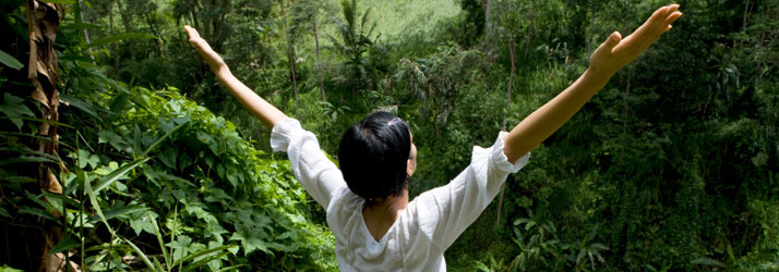 chiropractor near me for wellness care